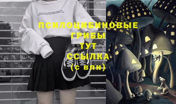 mdma Бородино