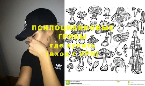 mdma Бородино